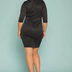 Asoph Plus Size Mesh Inset Bodycon Dress -Femme Avid Sales Store 2005377 001 3