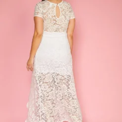 Plus Size Elegant Lace Dress -Femme Avid Sales Store 2005447 002 3