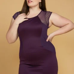 Plus Size Mesh Accented Mini Bodycon Dress