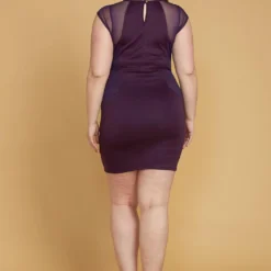 Plus Size Mesh Accented Mini Bodycon Dress -Femme Avid Sales Store 2005498 132 3