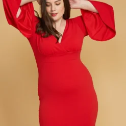 Asoph Plus Size V-Neck Flared Sleeve Dress