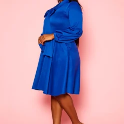 Plus Size Bow Collar Fit & Flare Mini Dress -Femme Avid Sales Store 2019773 003 3
