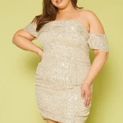 Plus Size Sequin Off Shoulder Mini Dress