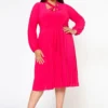 Plus Size Bow Collar Pleated Fit & Flare Dress