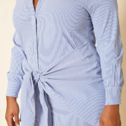 Plus Size Striped Collar Neck Mini Dress -Femme Avid Sales Store 2020135 001 4