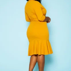 Plus Size V Neck Flare Mini Dress -Femme Avid Sales Store 2020159 007 4