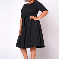 Plus Size Fit & Flare Mini Dress -Femme Avid Sales Store 2020462 004 3