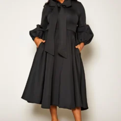 Plus Size Out Of The Ordinary Fit & Flare Dress -Femme Avid Sales Store 2021156 004 3