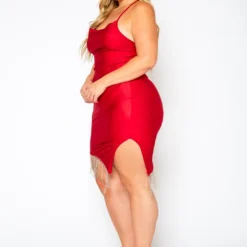 Plus Size Tassel Hem Bodycon Mini Dress -Femme Avid Sales Store 2021177 001 3