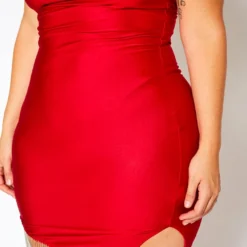 Plus Size Tassel Hem Bodycon Mini Dress -Femme Avid Sales Store 2021177 001 5