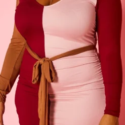 Plus Size Color Block Long Sleeve Maxi Dress -Femme Avid Sales Store 2021386 001 5