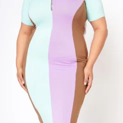 Plus Size Color Block Zip Front Bodycon Dress -Femme Avid Sales Store 2022483 002 6