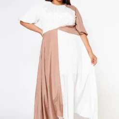 Plus Size Color Splice Fit & Flare Maxi Dress