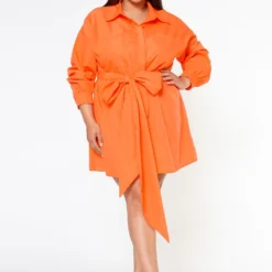 Plus Size Button Front Collar Shirt Dress