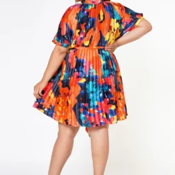 Plus Size Multi Pattern Pleated Fit & Flare Dress -Femme Avid Sales Store 2022608 001 4